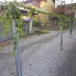 Edelweiss Apartment *