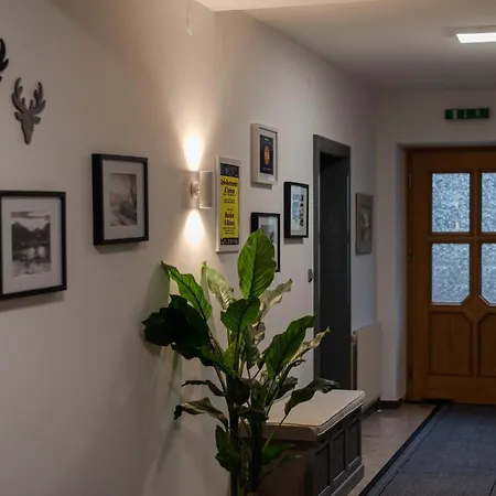 Appartement Edelweiss *