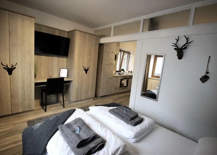 Apartment Edelweiss Zell am See