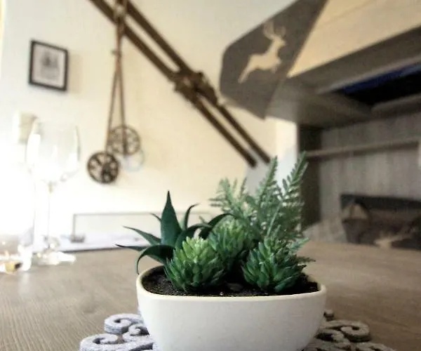 Edelweiss * 滨湖采尔