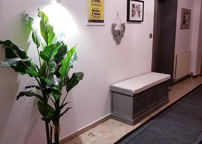 Edelweiss 滨湖采尔